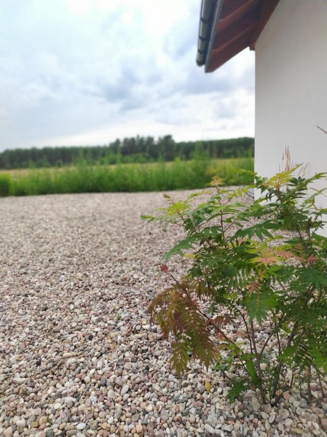 Swietajno  Zurawia Polana 빌라 외부 사진